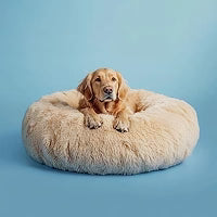 Calming dog bed