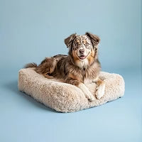 Orthopedic dog pillow